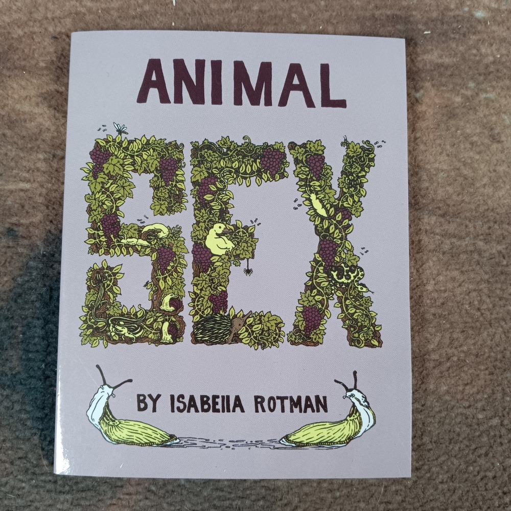 Animal Sex by Isabella Rotman How to Dance Sexy Blue Footed Booby Style Comic
